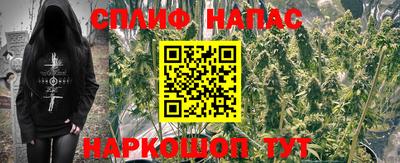 спиды Белореченск