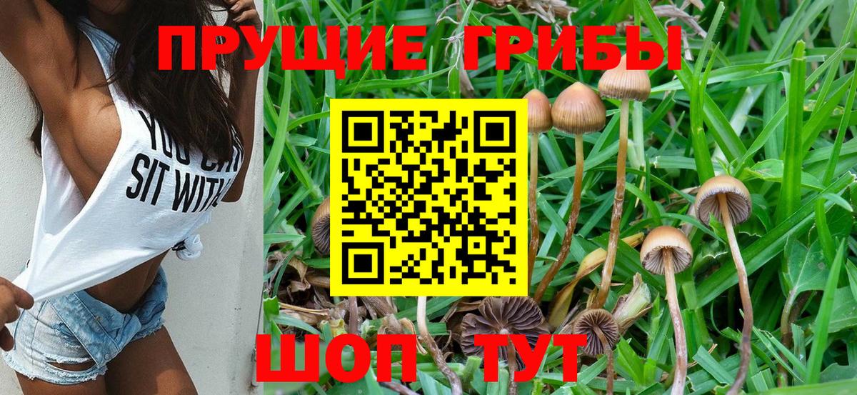Галлюциногенные грибы мухоморы Баксан